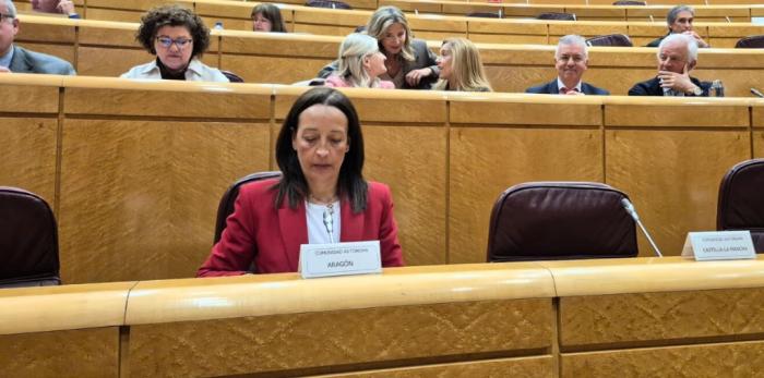 Susín ha comparecido este martes en la comisión general de CCAA del Senado para hablar sobre la gestión de la dependencia y su financiación