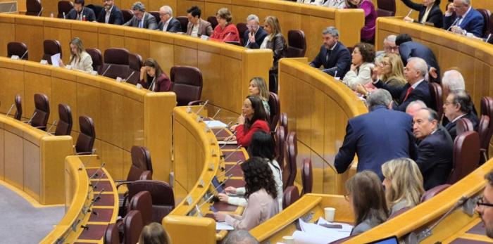 Susín ha comparecido este martes en la comisión general de CCAA del Senado para hablar sobre la gestión de la dependencia y su financiación