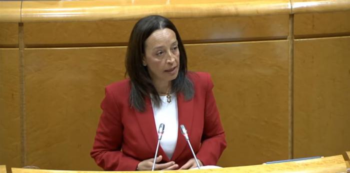 Susín ha comparecido este martes en la comisión general de las CCAA en el Senado