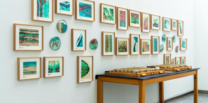 Exposición 'Ellas ilustran botánica' en el CDAN.