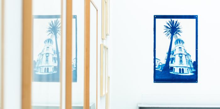 Exposición 'Ellas ilustran botánica' en el CDAN.