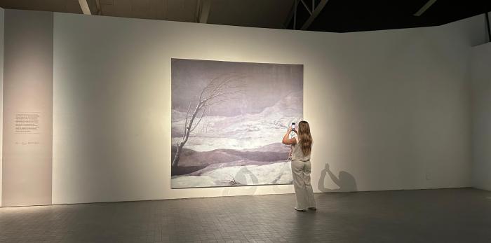 Presentación de la exposición ‘Espacios ocultos. Goya en silencio. José Manuel Ballester’, en el IAACC Pablo Serrano.