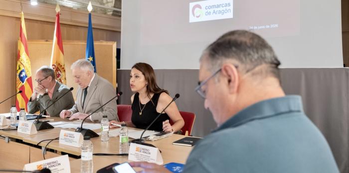 Consejo Comarcal celebrado hoy en la sede del Gobierno de Aragón.