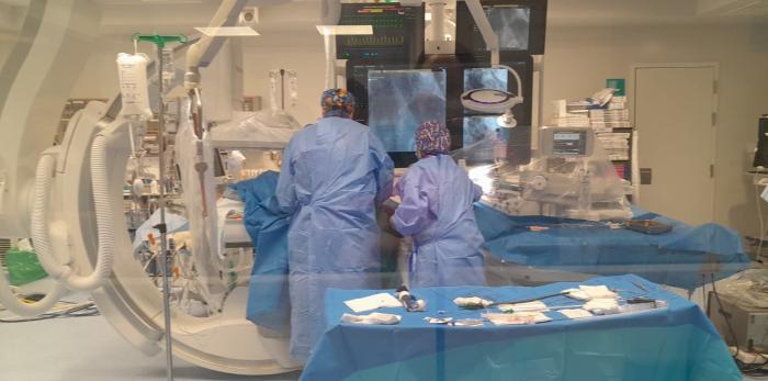 El consejero conoce la intervención conjunta de Cardiología y Cirugía Vascular realizada, de forma mínimamente invasiva, a una paciente que sufría un problema grave en una válvula del corazón y en la arteria aorta abdominal.