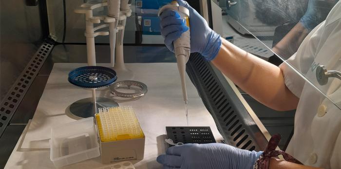 Parte del proceso de trabajo de la nueva prueba para seguimiento de los pacientes tras un cáncer de vejiga