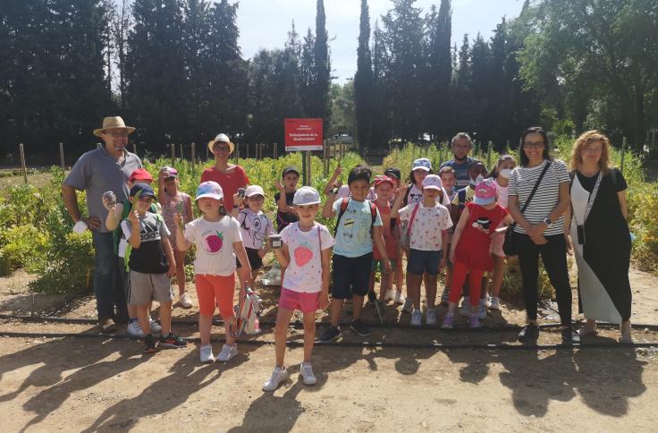 Los alumnos han visitado la parcela de Embajadores del CITA y han pasado la mañana con los investigadores y el personal del proyecto