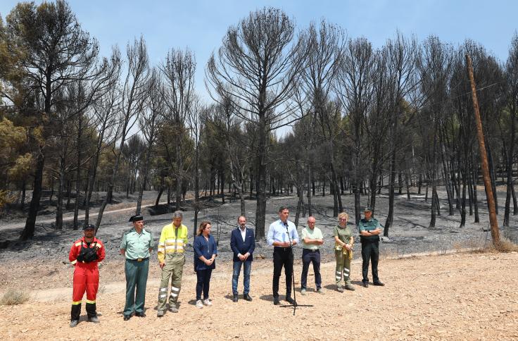 Incendio Forestal de Ateca