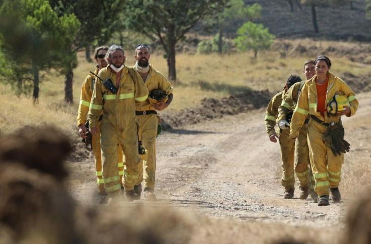 Efectivos en el Incendio Forestal Añón de Moncayo