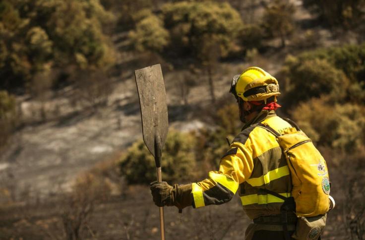 Efectivos del INFOAR en el incendio forestal de Añón de Moncayo