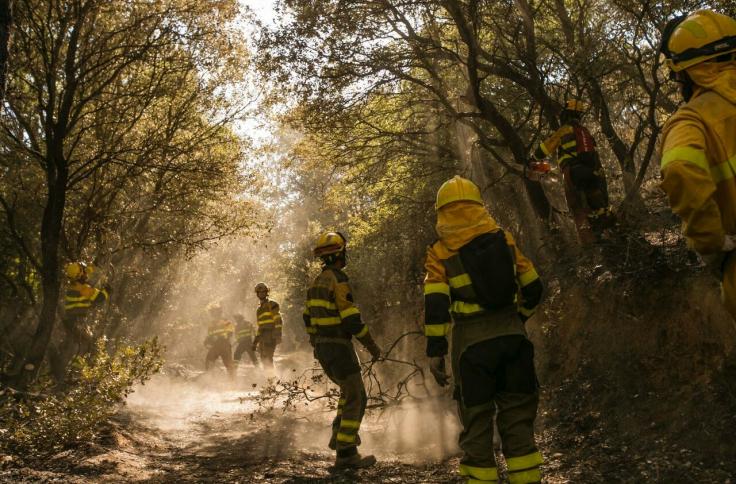 Efectivos del INFOAR en el incendio forestal de Añón de Moncayo