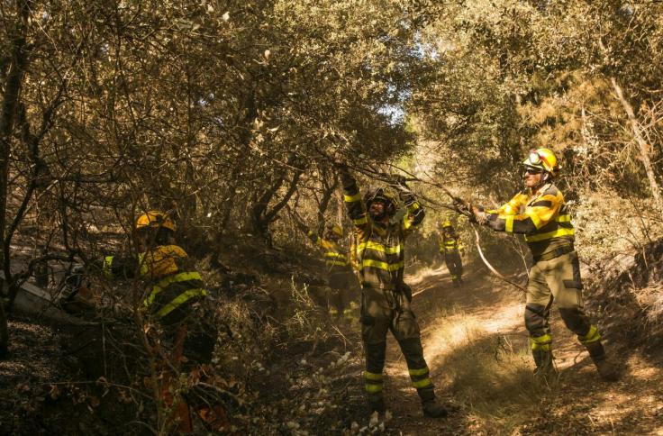 Efectivos del INFOAR en el incendio forestal de Añón de Moncayo