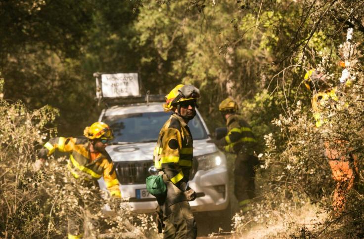 Efectivos del INFOAR en el incendio forestal de Añón de Moncayo
