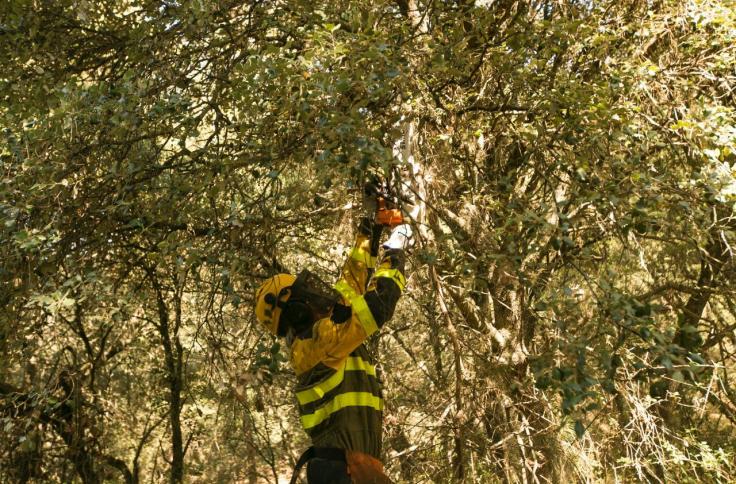 Efectivos del INFOAR en el incendio forestal de Añón de Moncayo