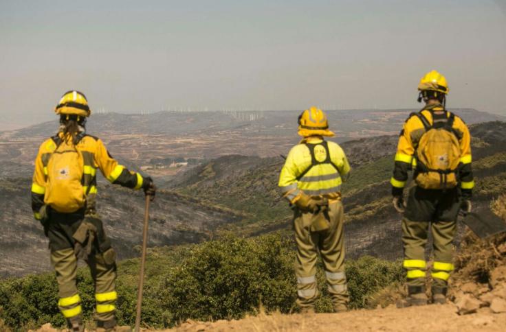 Efectivos del INFOAR en el incendio forestal de Añón de Moncayo