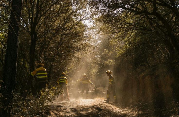 Efectivos del INFOAR en el incendio forestal de Añón de Moncayo