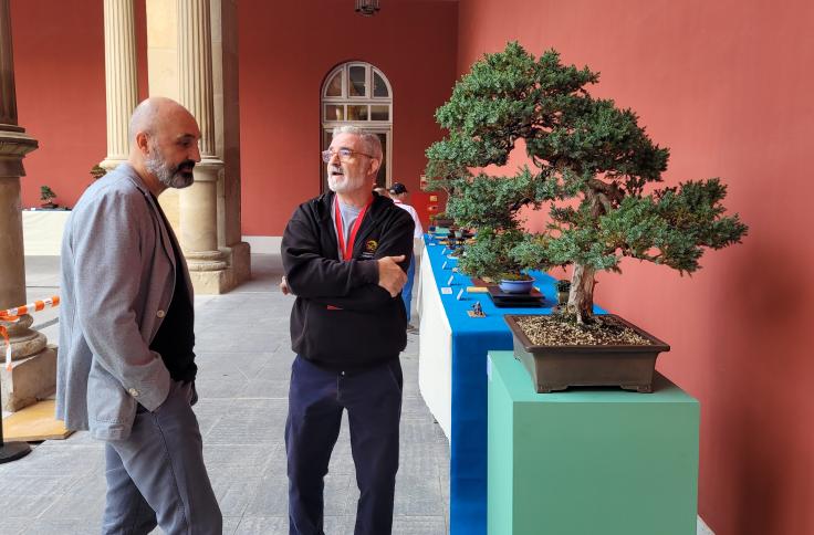 Presentación de la exposición de Bonsáis