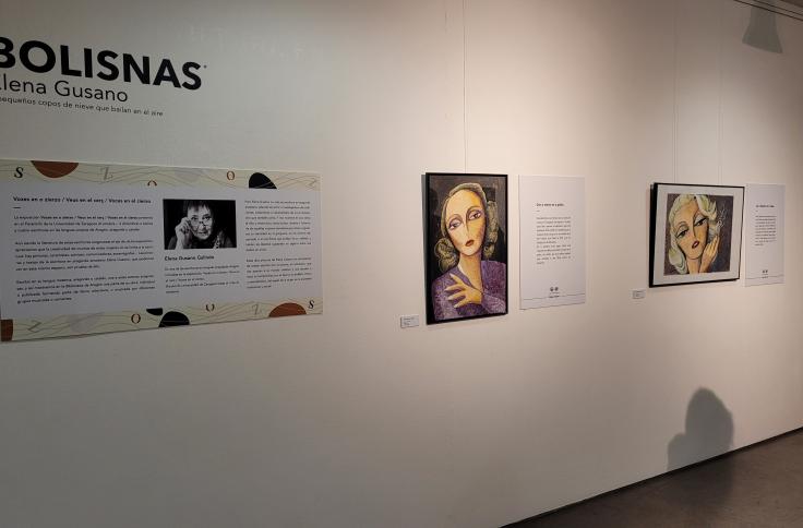 Exposición Bolisnas en la Biblioteca de Aragón