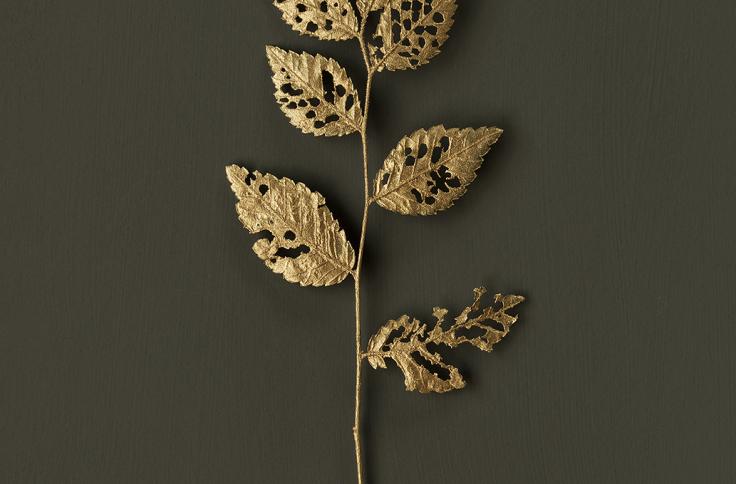 Marta Sánchez Marco. Ulmus_oro.