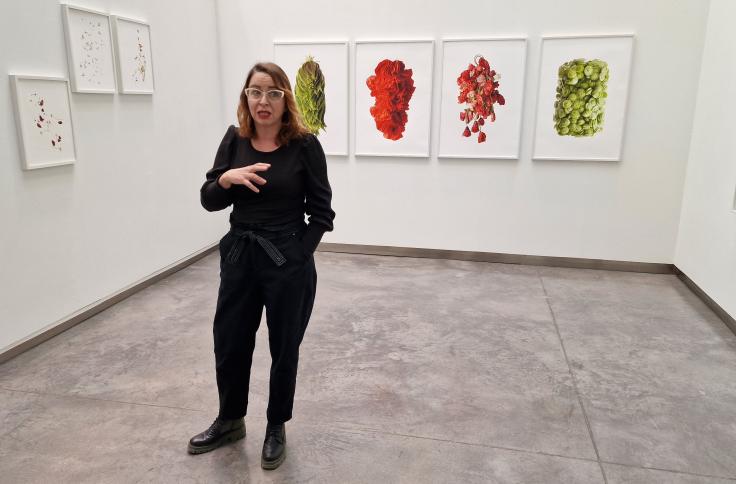 Nueva exposición en el CDAN