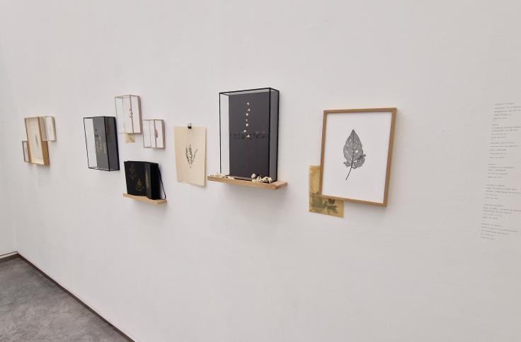 Nueva exposición en el CDAN