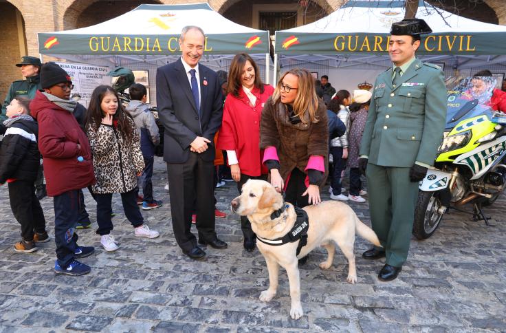 Acto de entrega de placas al Mérito de la Protección Civil en Aragón