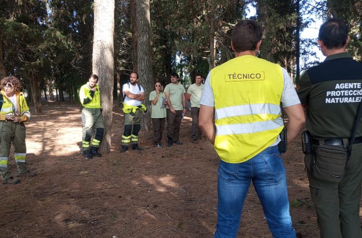 Simulacro de incendio forestal INFOAR