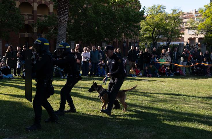 Azcón visita las actividades de los Patios Pignatelli en la celebración de San Jorge 2024