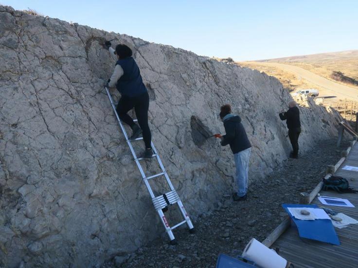Diferentes hallazgos en el yacimiento de El Castellar.