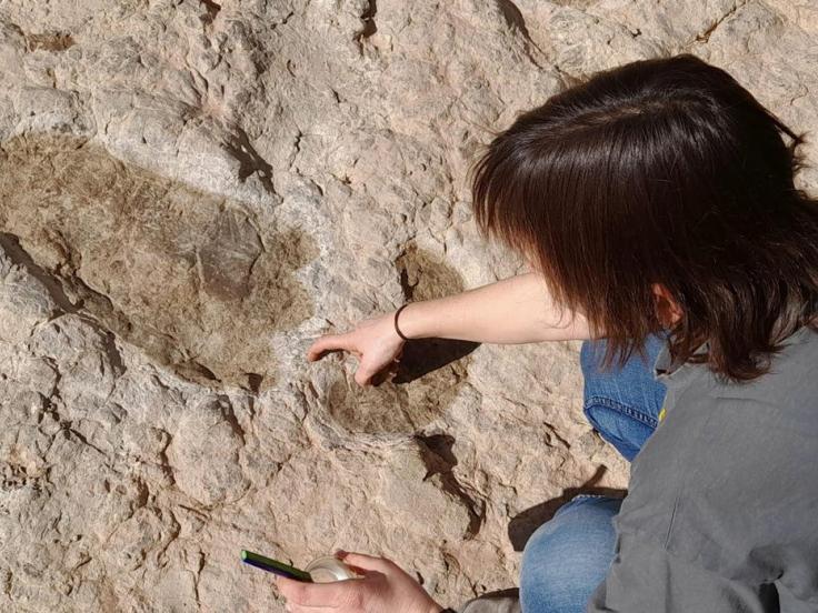 Diferentes hallazgos en el yacimiento de El Castellar.