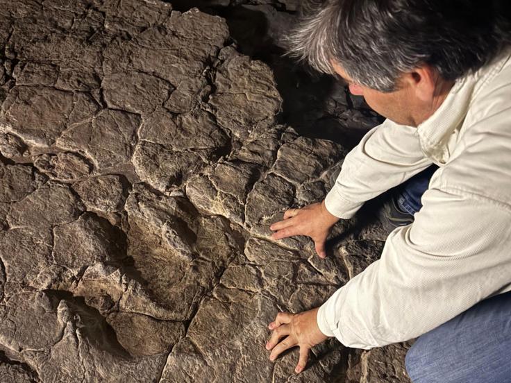 Diferentes hallazgos en el yacimiento de El Castellar.