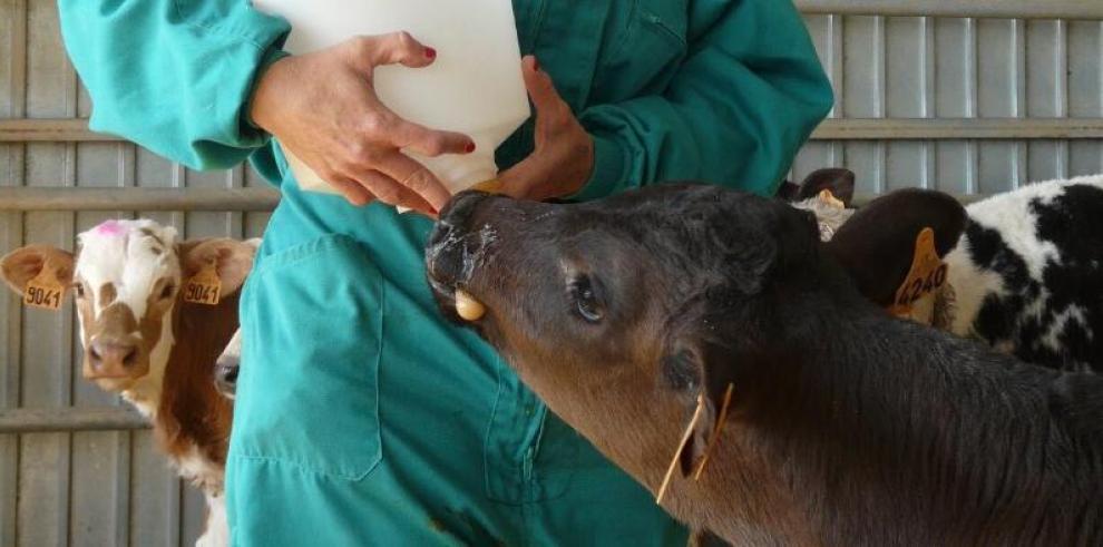 Casi 1.300 mujeres se han incorporado al sector agrario en los últimos 20 años en Aragón