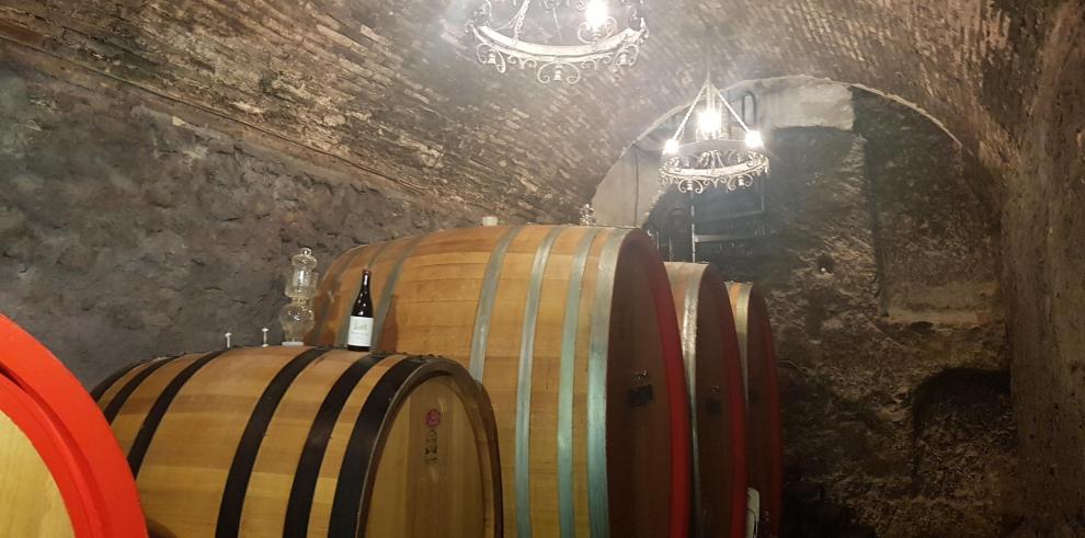 El Gobierno de Aragón lanza una estrategia para poner en valor el sector del vino a través del talento de sus profesionales