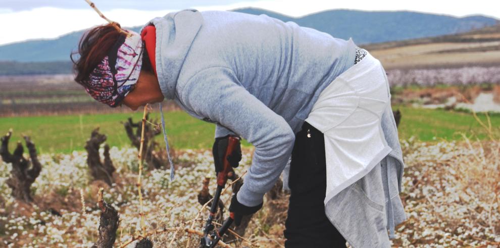 En 2018 se superarán los 1.000 empleos creados para jóvenes agricultores en el medio rural