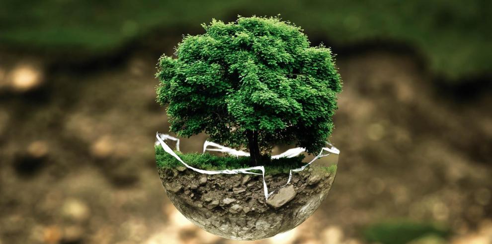Convocado el Premio Aragón Medio Ambiente 2022
