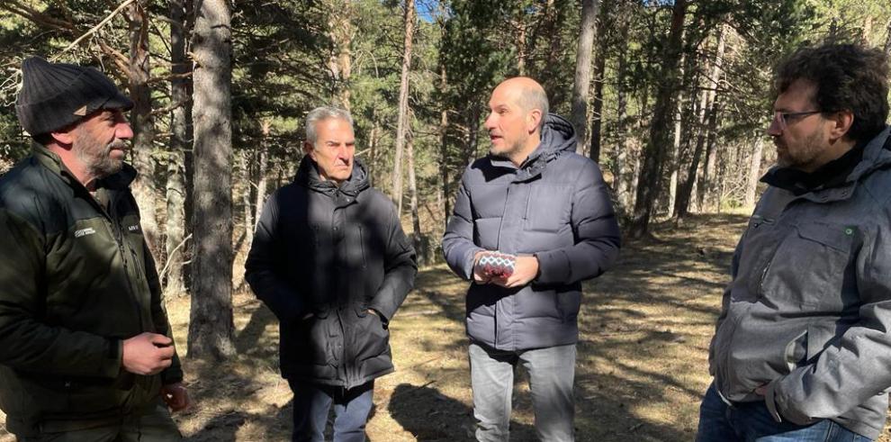 El director general de Medio Natural y Gestión Forestal, Diego Bayona, en su visita a los montes de Cedrillas.