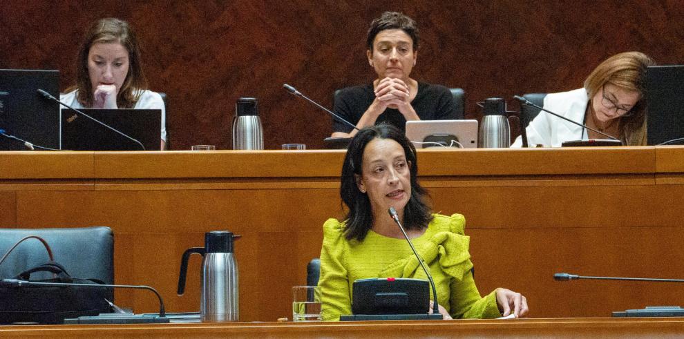 Comisión de Bienestar Social y Familia. Carmen Susín