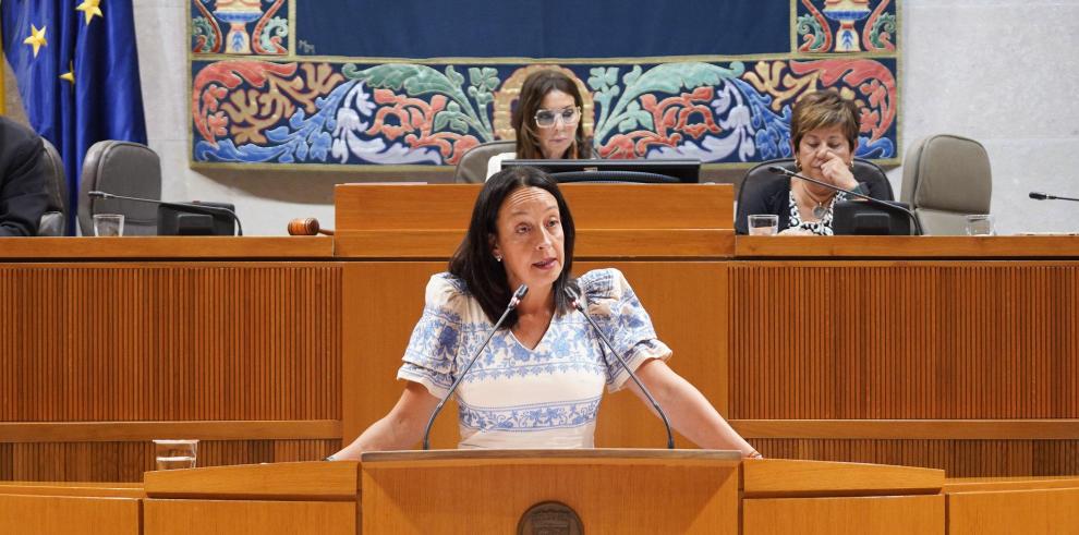 La consejera Susín ha expuesto en el pleno de las Cortes las herramientas clave con las que va a promover una inclusión plena en la Comunidad
