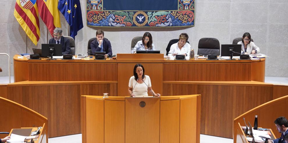 La consejera Susín ha comparecido en el pleno de las Cortes para hablar sobre discapacidad
