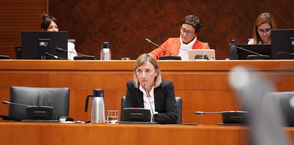 La directora general de Inclusión Social y Voluntariado, María Charte, ha comparecido en las Cortes este martes