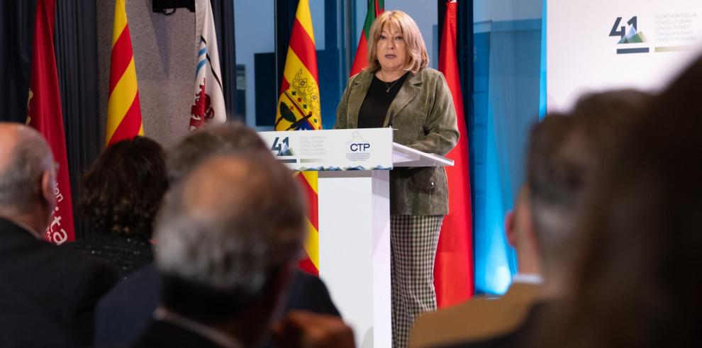 Consejo Plenario de la Comunidad de Trabajo de los Pirineos (CTP)