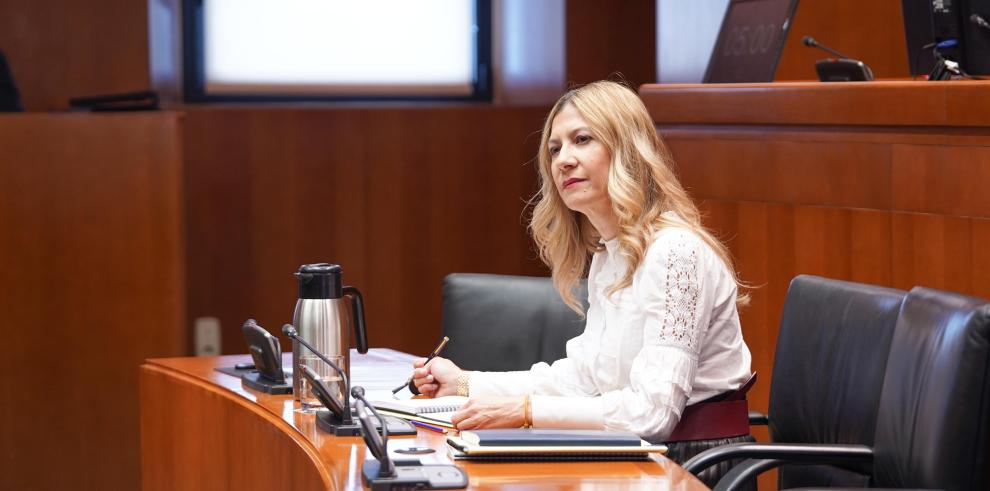Mar Vaquero ha comparecido este lunes en la Comisión de Economía, Empleo e Industria