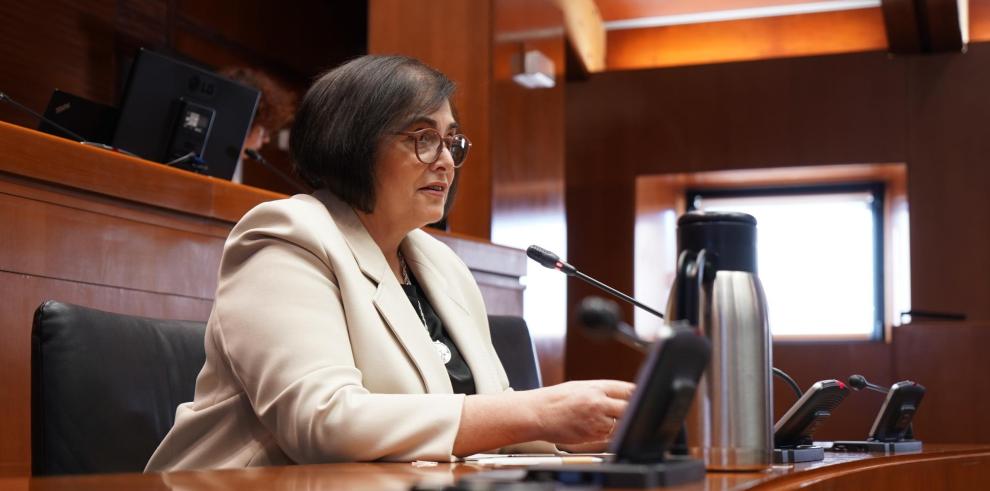 La directora general de Mayores, Ana Isabel Berges, ha comparecido este martes en la comisión de Bienestar Social y Familia