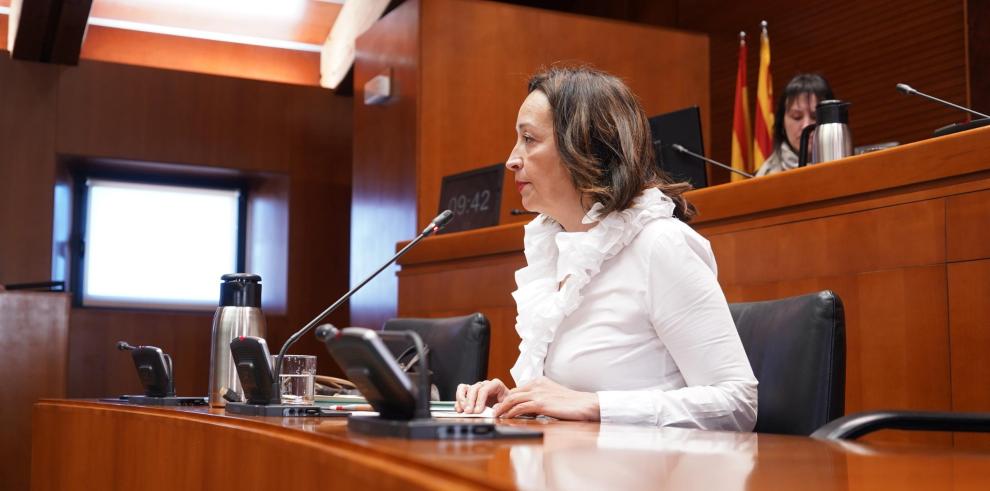 La consejera de Bienestar Social y Familia ha comparecido este martes en la comisión de las Cortes