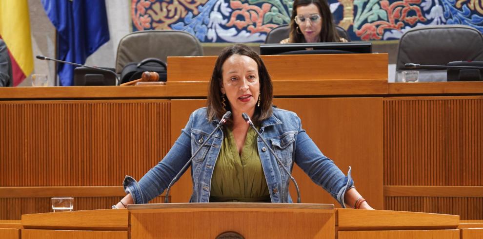 La consejera Susín ha respondido en el pleno de las Cortes sobre políticas de discapacidad