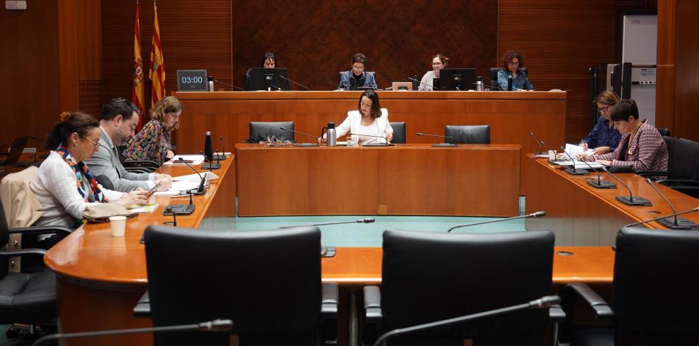 Susín ha anunciado que Aragón ha instado al Ministerio competente a convocar un Consejo Interterritorial de Servicios Sociales extraordinario