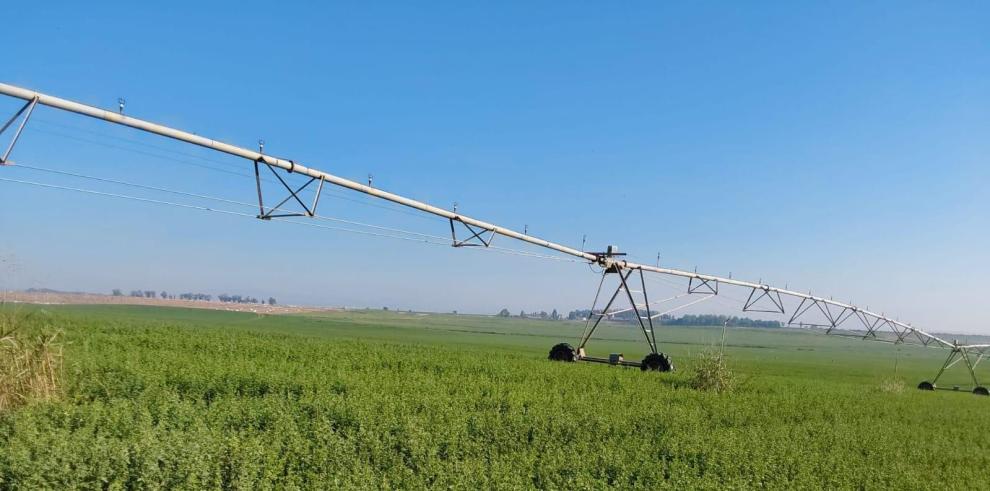El CITA aporta su experiencia científica en nueve Grupos Operativos de la Asociación Europea de Innovación