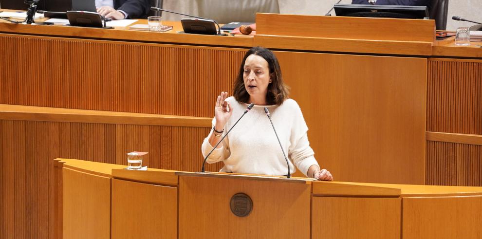 Susín, en el pleno de las Cortes este lunes