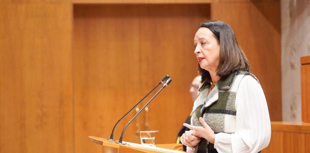 La consejera Susín ha comparecido este miércoles para exponer cómo se va a actualizar la normativa de los centros asistenciales