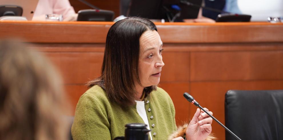Este martes ha comparecido la consejera Susín ante la comisión de Bienestar Social y Familia