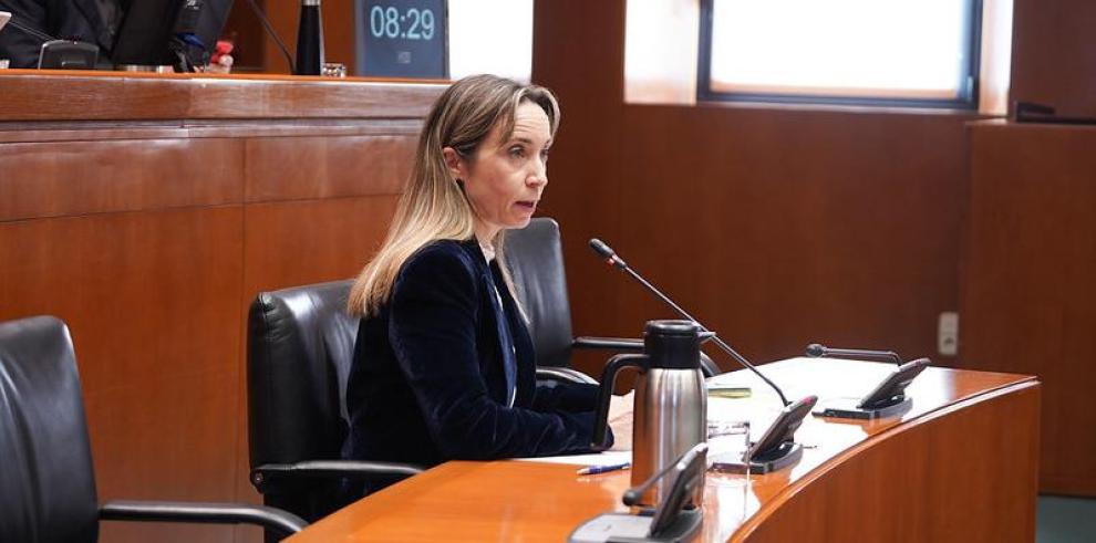 La directora general de Planificación Estratégica y Logística comparece en la comisión de Fomento.